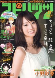 [Wöchentliche große Comic-Spirituosen] Ayaka Ono 2014 Nr. 27 Fotomagazin
