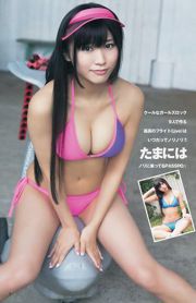 Rino Sashihara Ai Negishi Seika Taketomi [Weekly Young Jump] 2013 No.39 Photographie